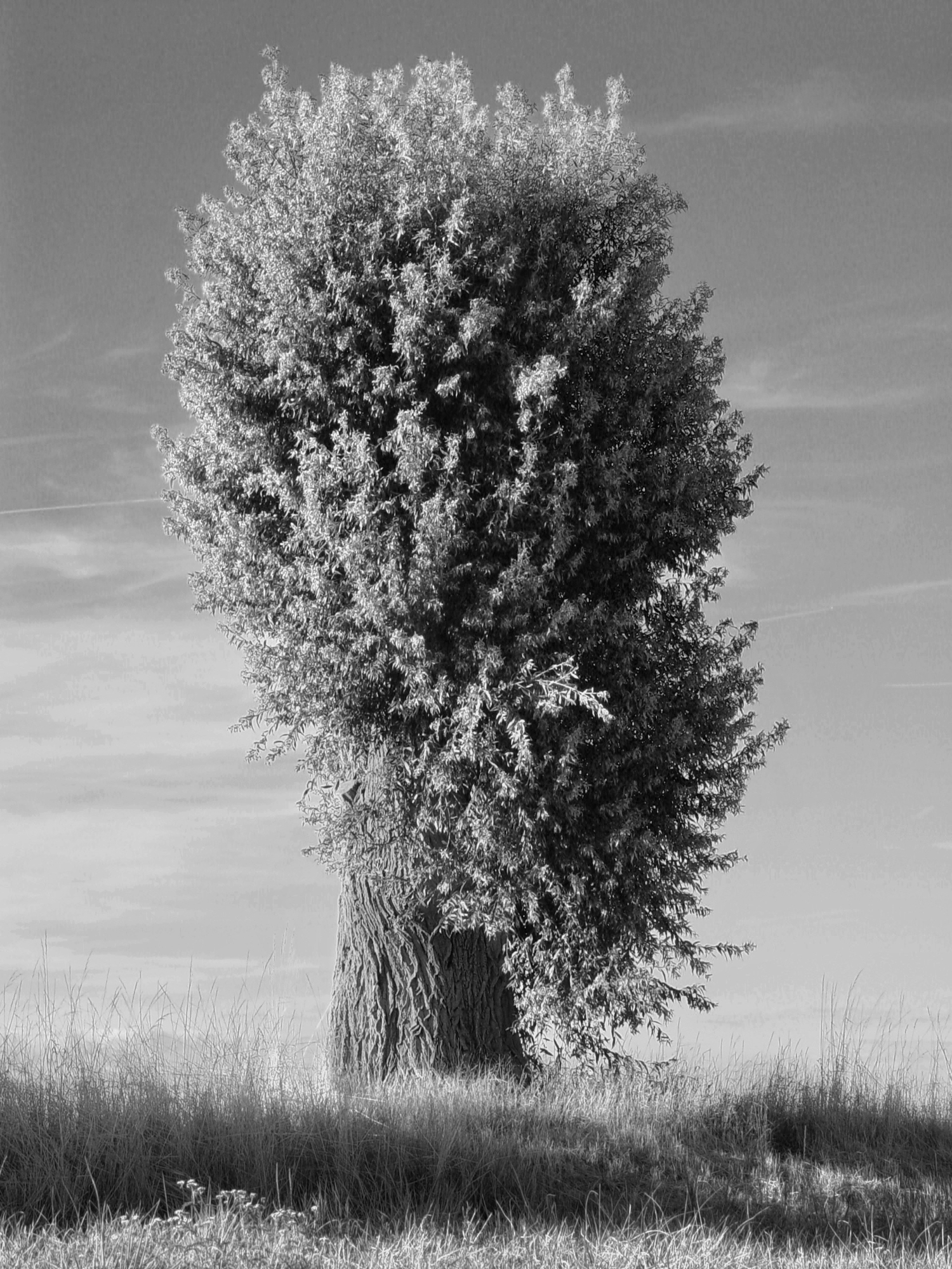 Bild 036