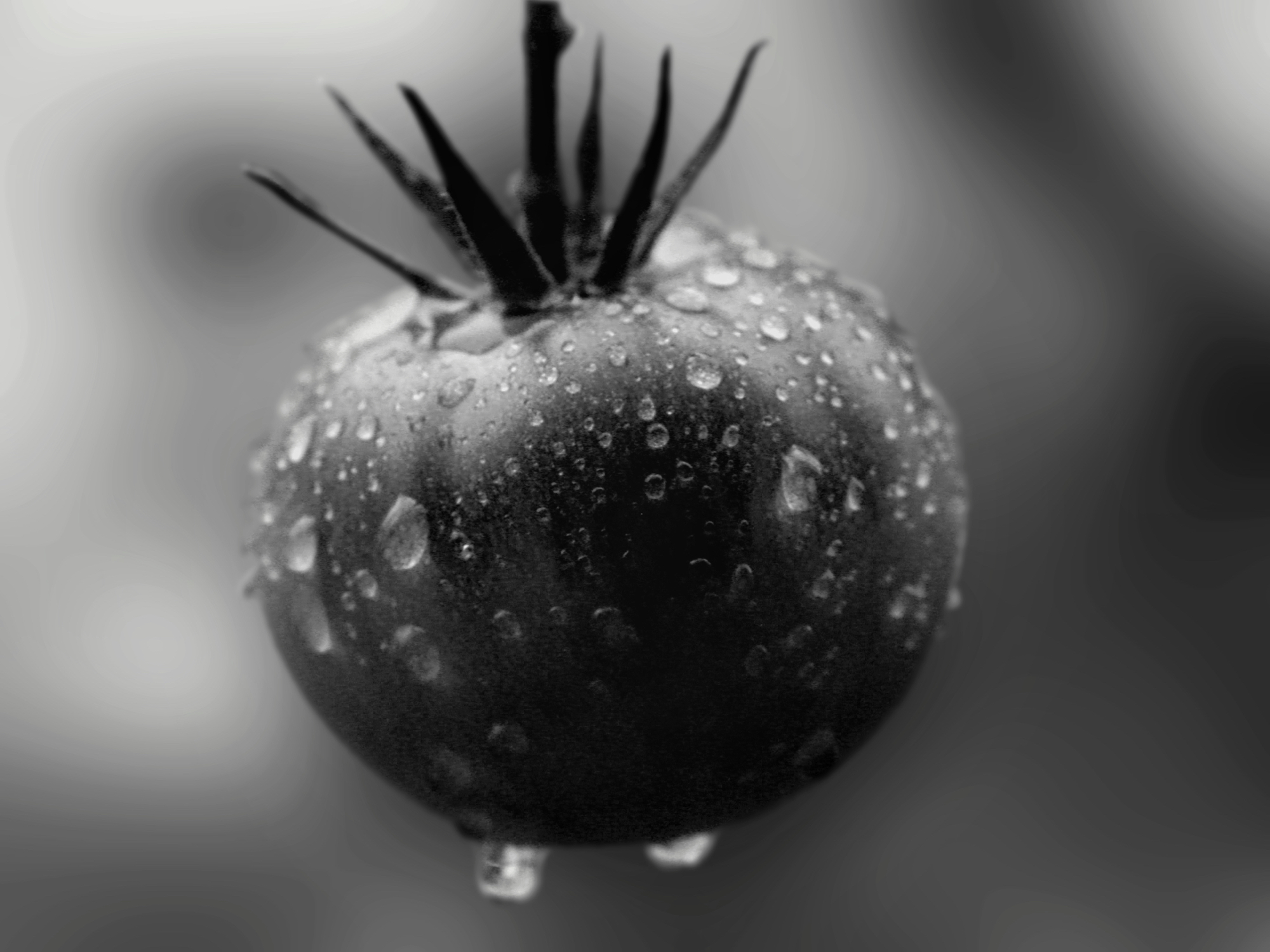 Bild 039