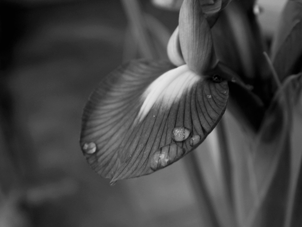 Bild 040