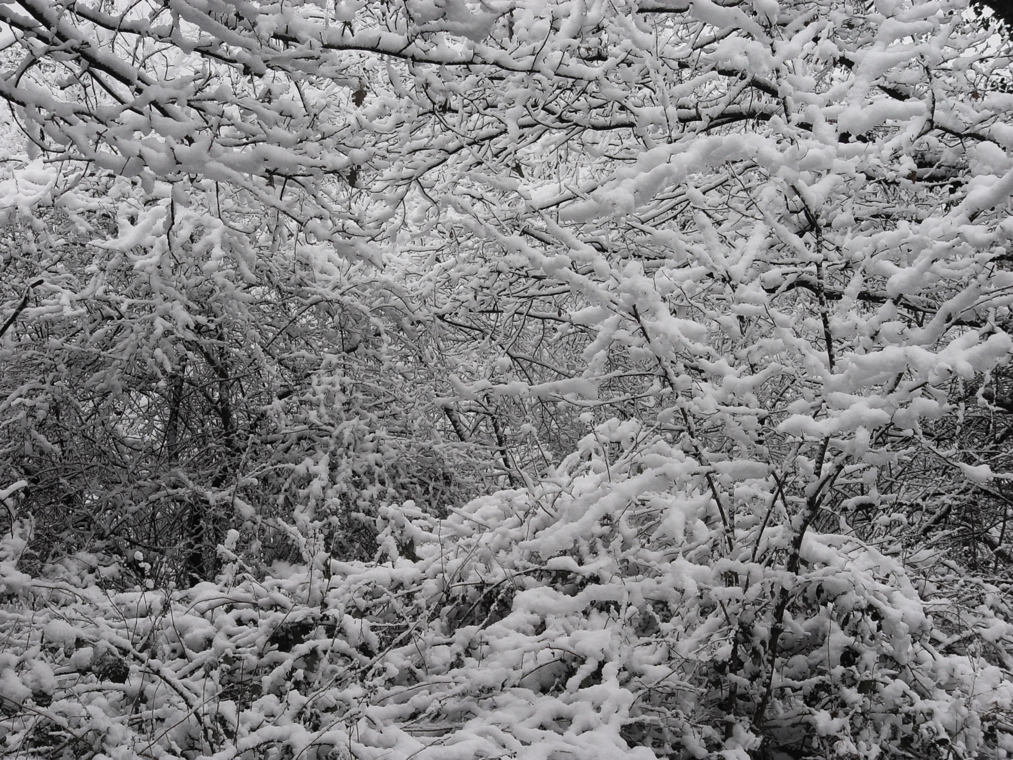Bild 047