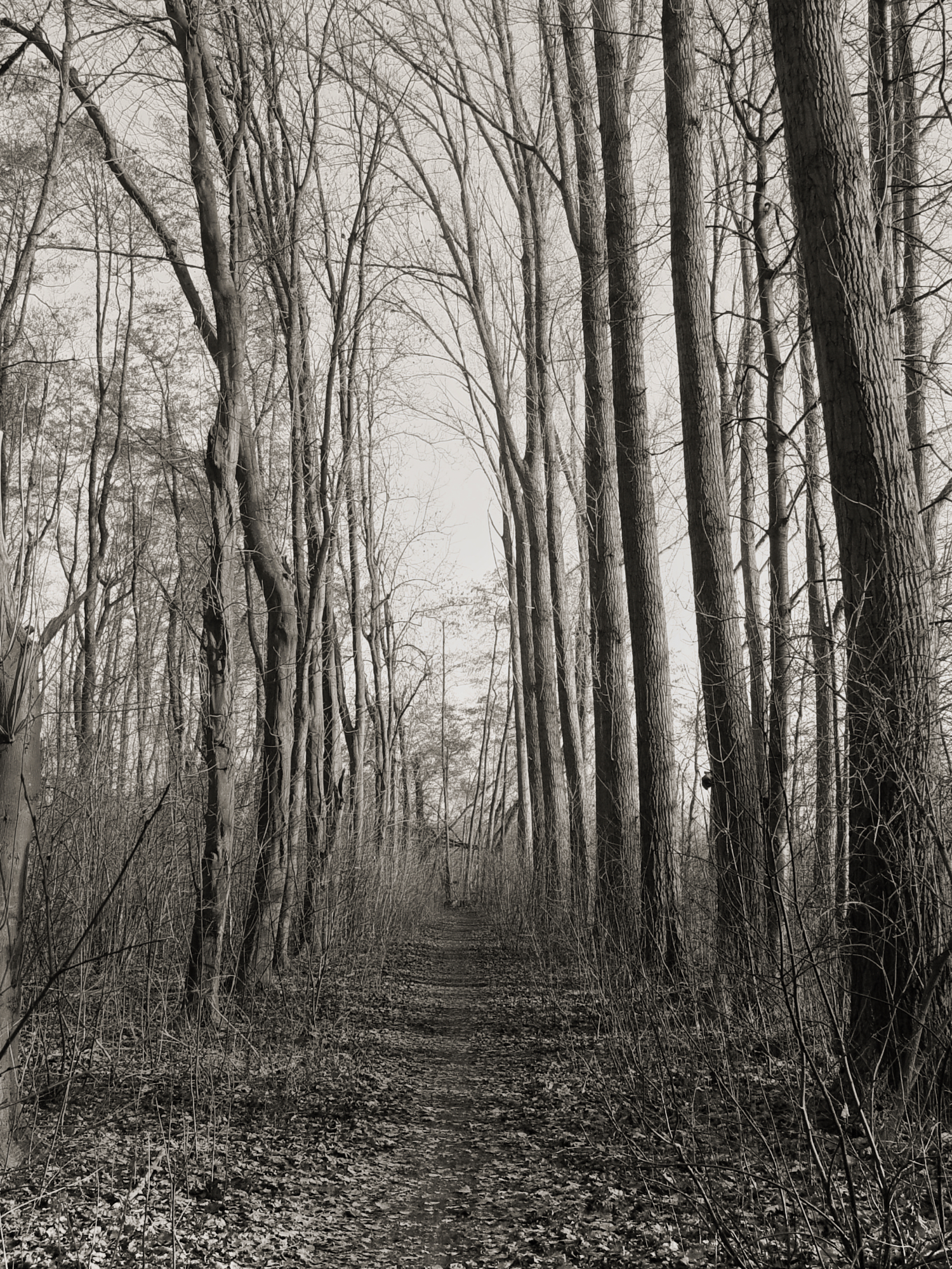 Bild 051