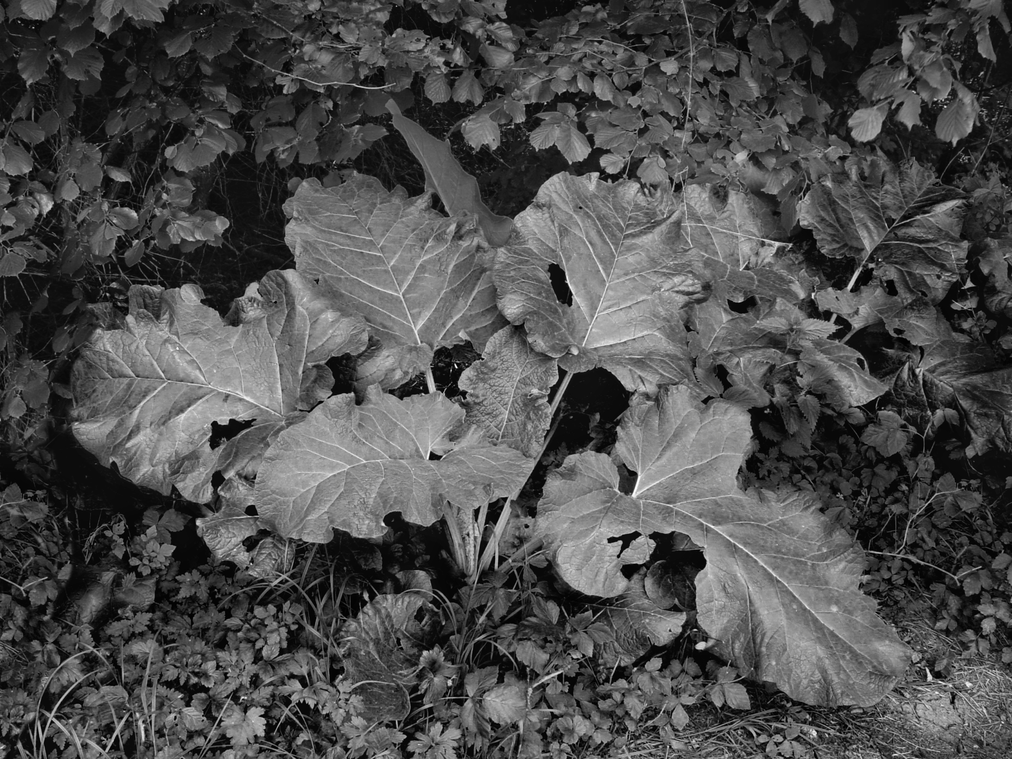 Bild 057
